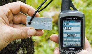 Holzinvestment Advertorial Life Forestry – Edelholz braucht hohe Transparenz